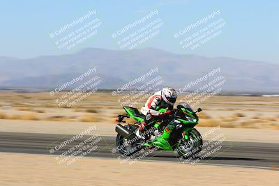 media/Jan-14-2024-SoCal Trackdays (Sun) [[2e55ec21a6]]/Back Straight Speed Pans (1145am)/